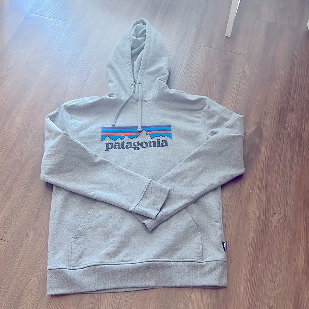 Men’s Patagonia Grey Hoodie